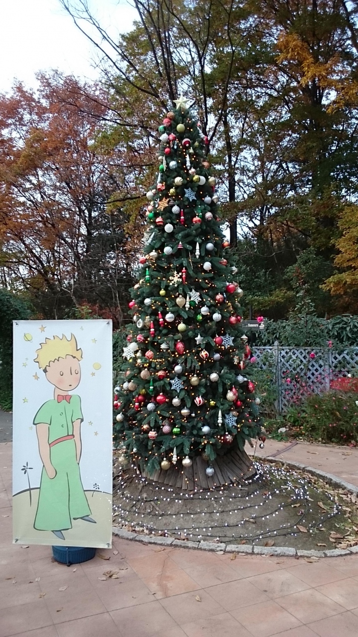星の王子さま がテーマのテーマパーク型paのクリスマス 草加 埼玉県 の旅行記 ブログ By まんごさん フォートラベル