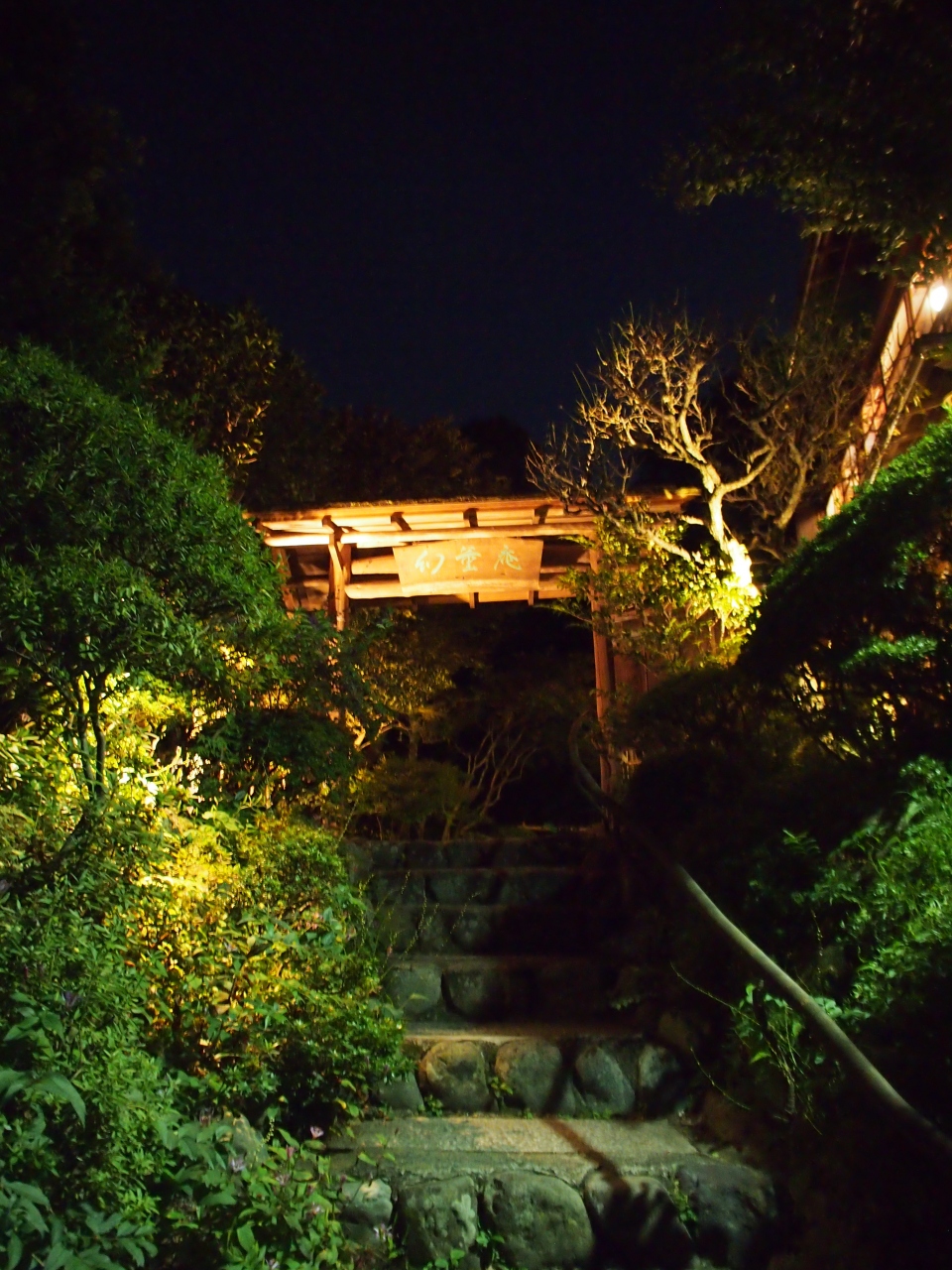 鎌倉 ディナーは 幻董庵 その前に 鶴岡八幡宮 見学 鎌倉 神奈川県 の旅行記 ブログ By ヴェラnonnaさん フォートラベル 鎌倉 ディナーは 幻董庵 その前に 鶴岡八幡宮 見学 鎌倉 神奈川県 の旅行記 ブログ By ヴェラnonnaさん フォートラベル