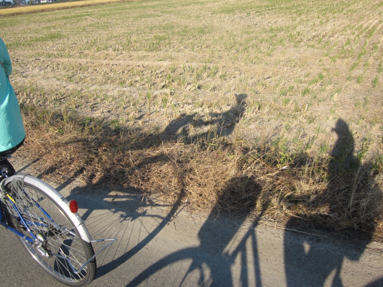 一昨日に自転車で琵琶湖を一周してきました これまで1年に1度 g wか夏休みに琵琶湖を一周していましたが 寄る年波に勝てずここ3年ほど