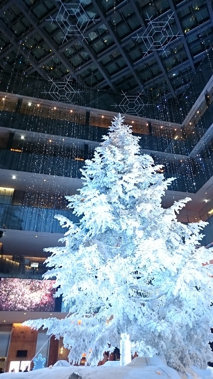 ホワイトツリーの白銀の世界のライトアップ Jpタワーkitteのアトリウムにて 丸の内 大手町 八重洲 東京 の旅行記 ブログ By まみさん フォートラベル