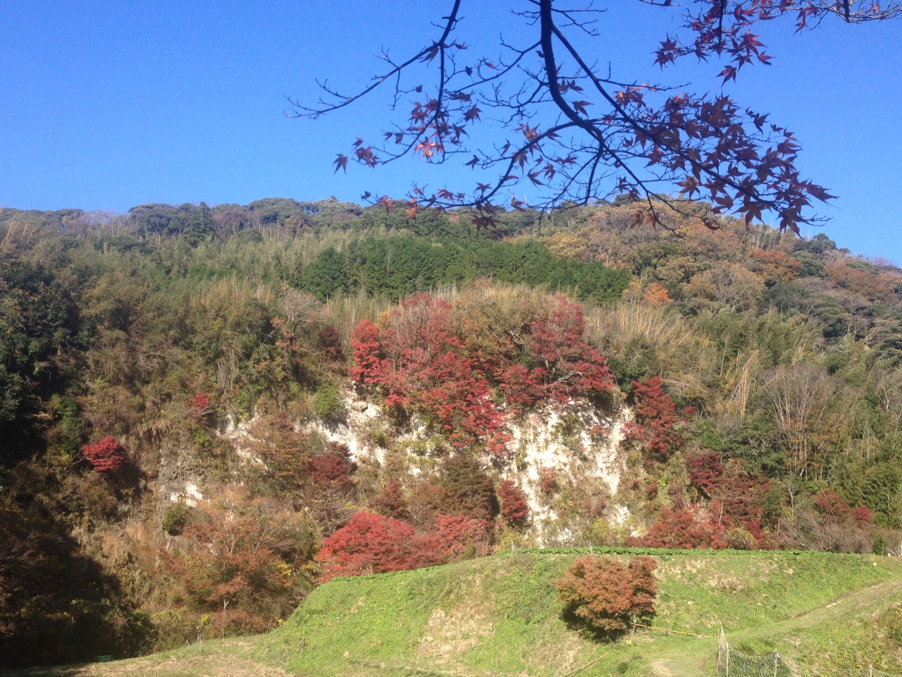 ちいさな自転車旅 鹿野山 もみじロード 館山 館山 千葉県 の旅行記 ブログ By Hiyoccoさん フォートラベル