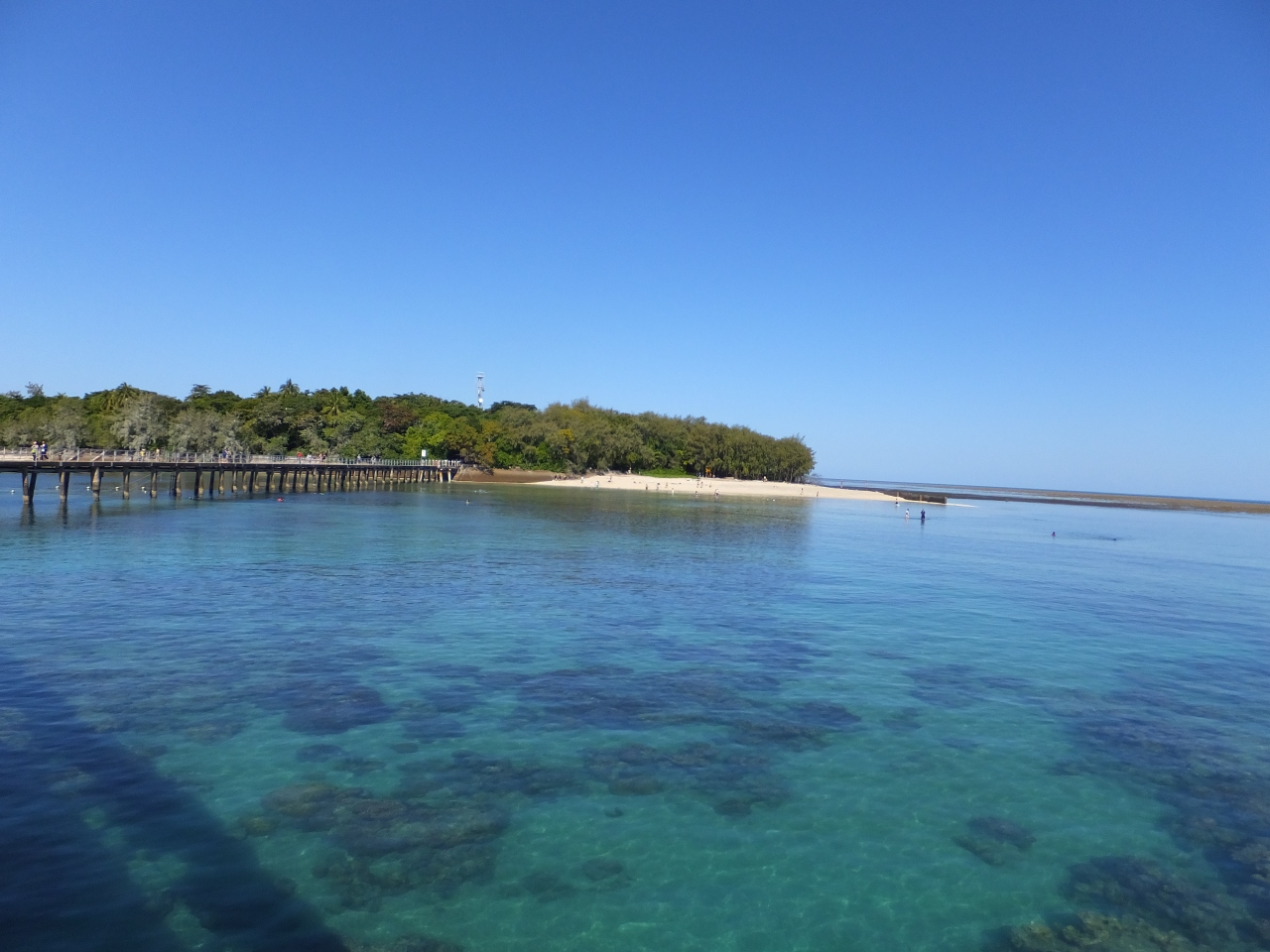 25年ぶりのオーストラリア Vol 4 初ケアンズ Green Island グリーン島 オーストラリア の旅行記 ブログ By ヨシさん フォートラベル