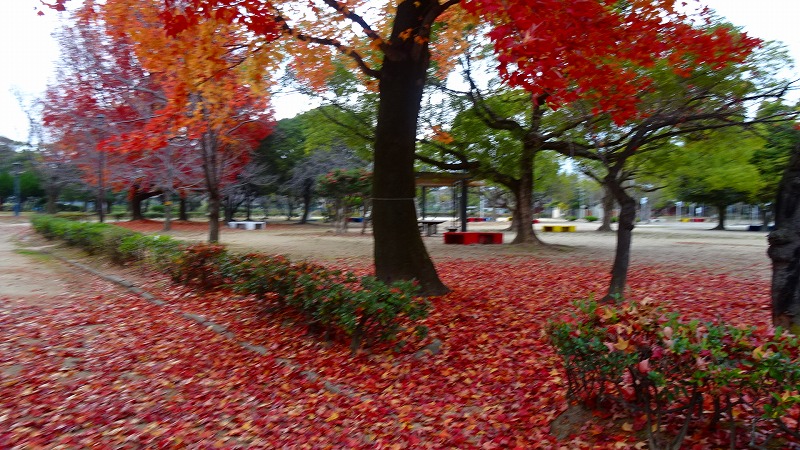 尼崎市 西武庫公園を散策 尼崎 兵庫県 の旅行記 ブログ By Hn11さん フォートラベル 尼崎市 西武庫公園を散策 尼崎 兵庫県 の旅行記 ブログ By Hn11さん フォートラベル