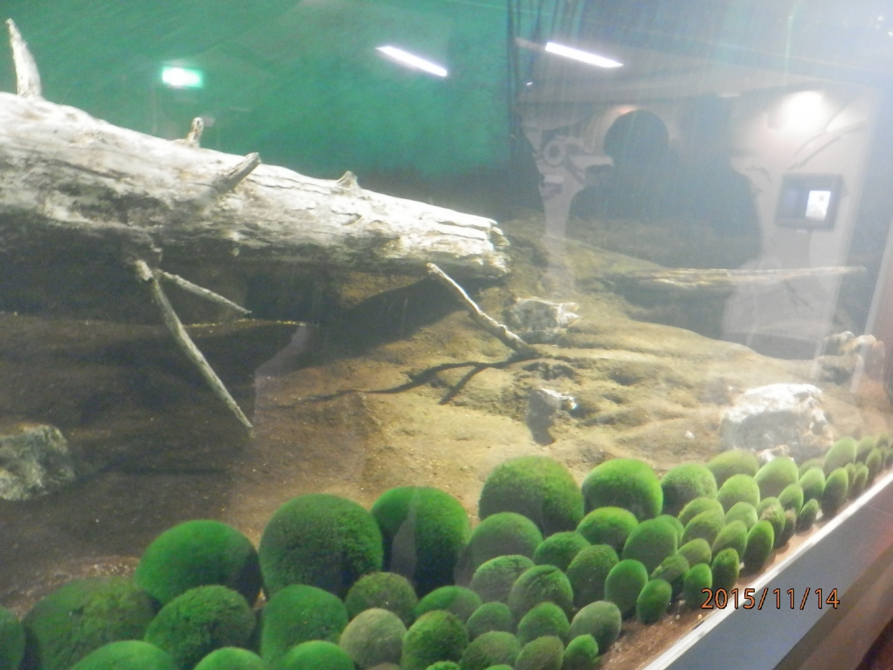 14土曜3日目4午後阿寒湖まりもとホテル夕食朝食 阿寒 北海道 の旅行記 ブログ By Sai Tenさん フォートラベル