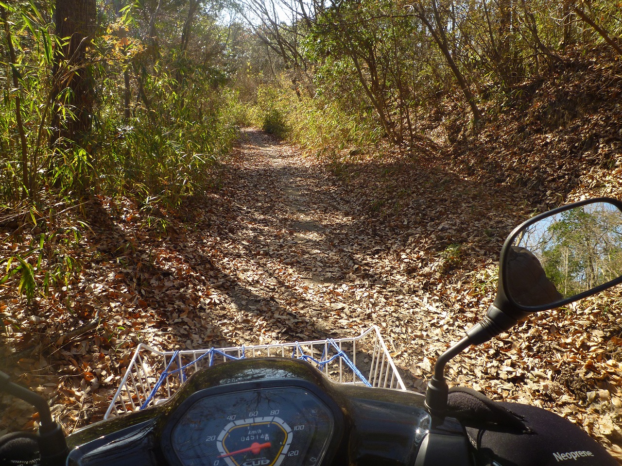 林道バイクでハイキング 丹生山から帝釈山 六甲山 摩耶山周辺 兵庫県 の旅行記 ブログ By 熟年ドラゴンさん フォートラベル