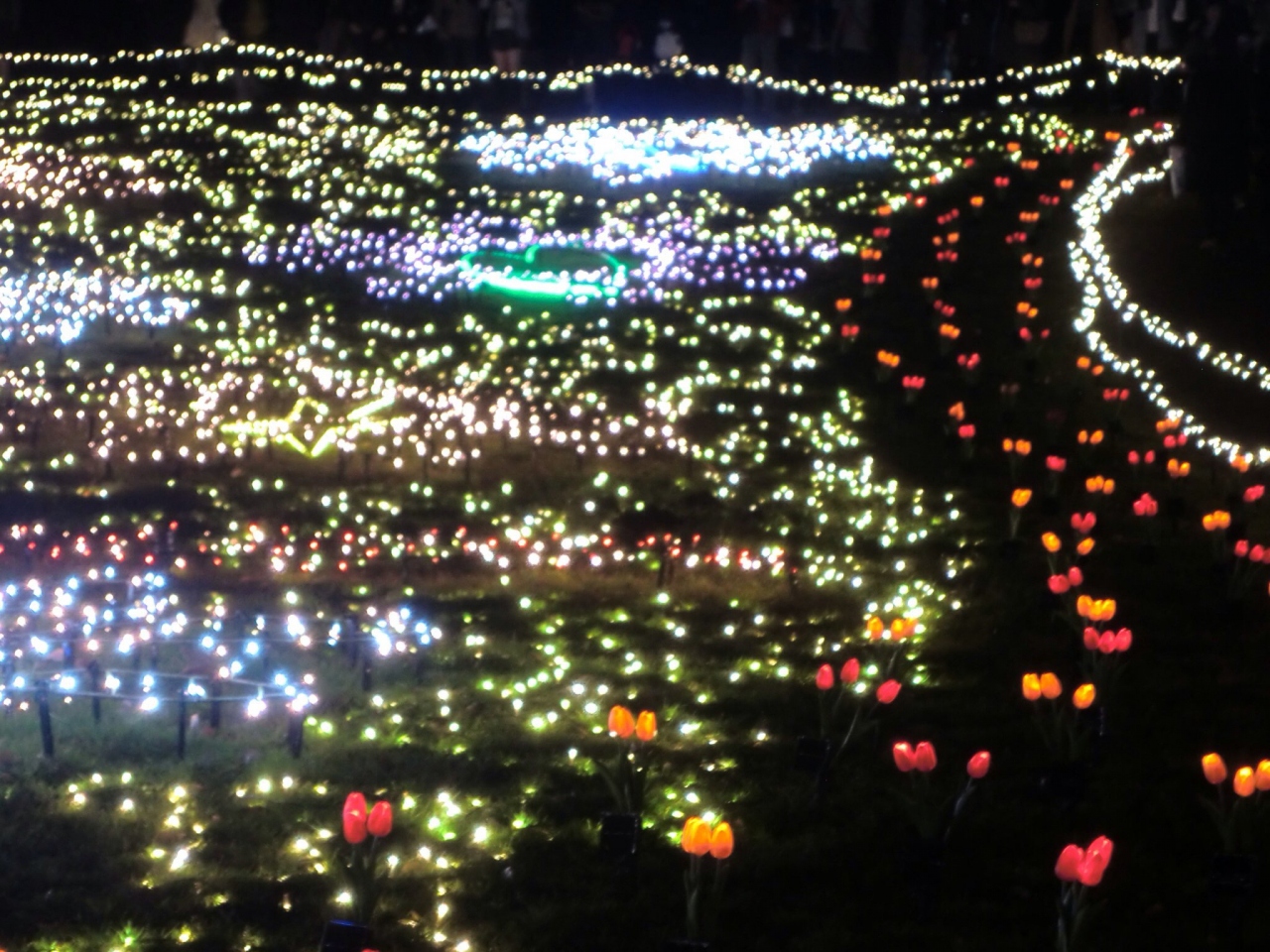 み んなが大好きなキラキラ 昭和記念公園編 立川 東京 の旅行記 ブログ By White Tigerさん フォートラベル