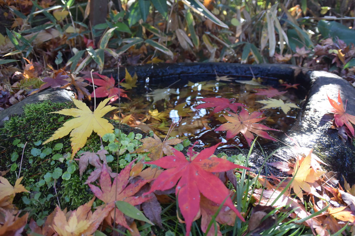 ãå¯å£«å¸ åºè¦å¬åãã®ç»åæ¤ç´¢çµæ