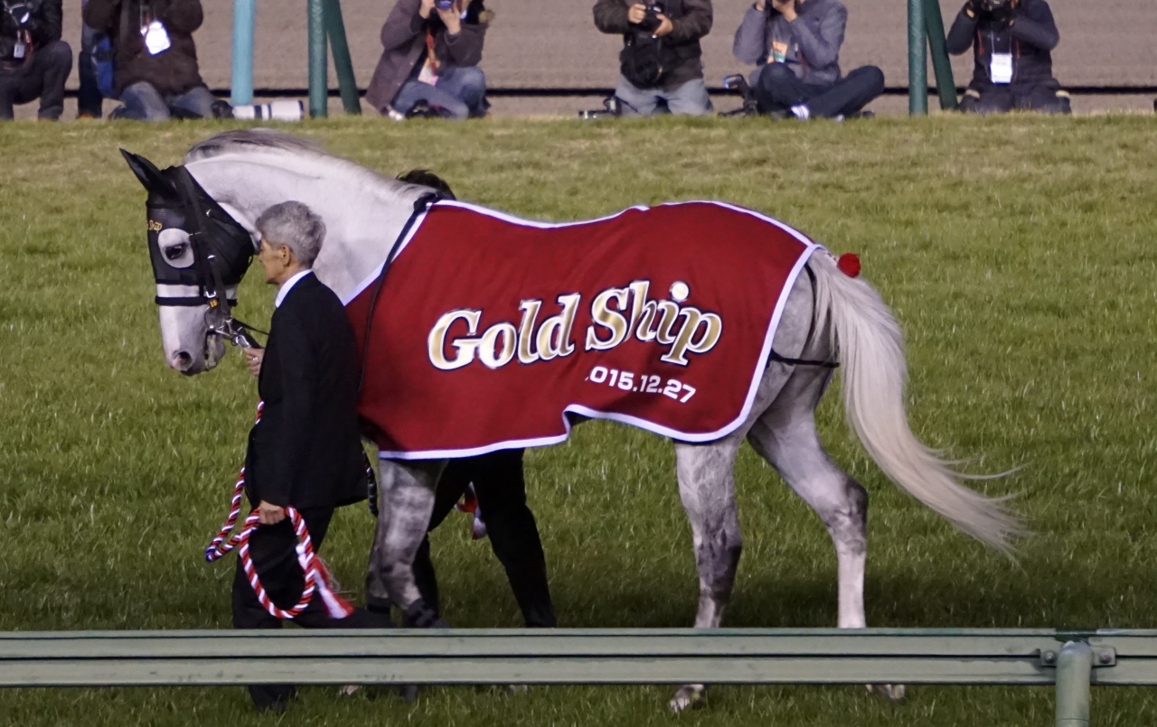 見たぜ ２０１５ 千葉県 ゴールドシップのラストラン有馬記念 全レース終了後のゴールドシップ引退式を見れて良かったぜ In 中山競馬場 船橋 習志野 千葉県 の旅行記 ブログ By とらっちさん フォートラベル