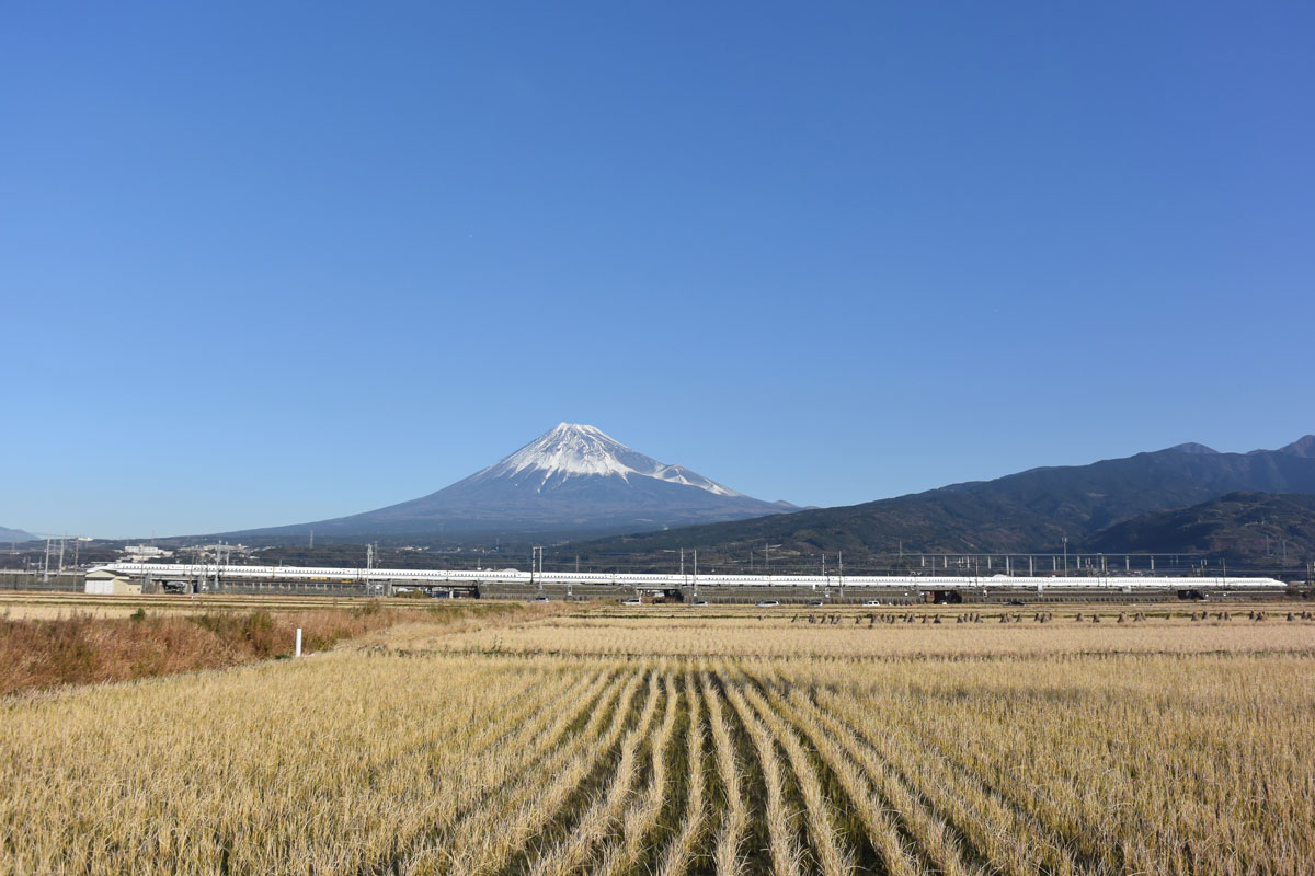 富士山 自転車 コース