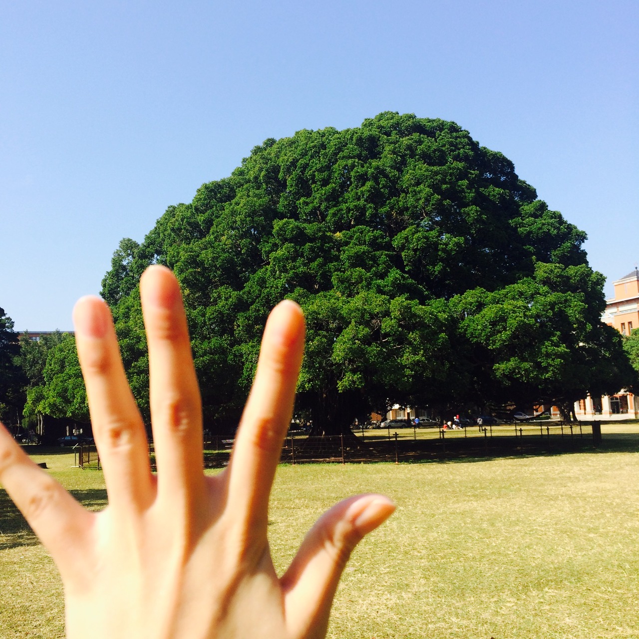 台南 高雄 のんびり女1人旅 前半 台南 台湾 の旅行記 ブログ By ゆっぴーさん フォートラベル 台南 高雄 のんびり女1人旅 前半 台南 台湾 の旅行記 ブログ By ゆっぴーさん フォートラベル