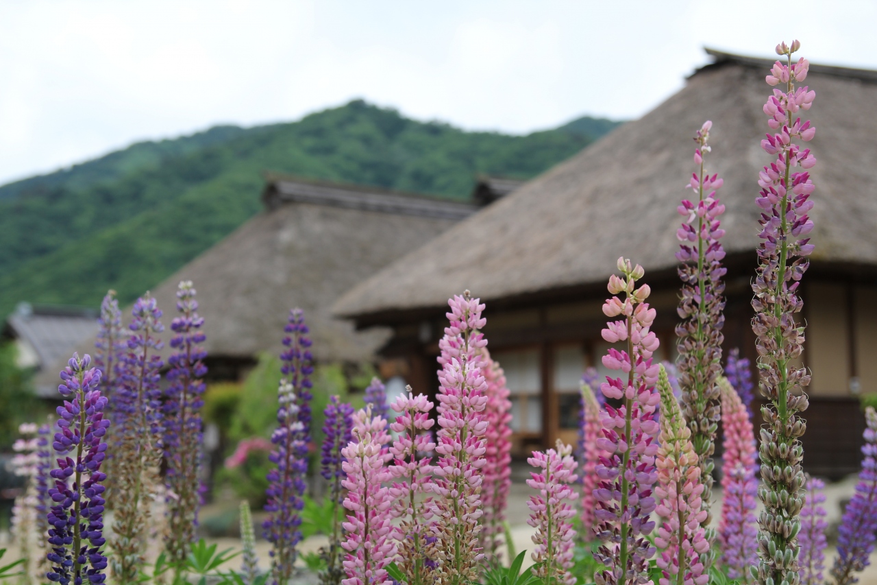 乗り鉄で会津藩を訪ねる 会津若松 福島県 の旅行記 ブログ By ドルフィンズ11番さん フォートラベル