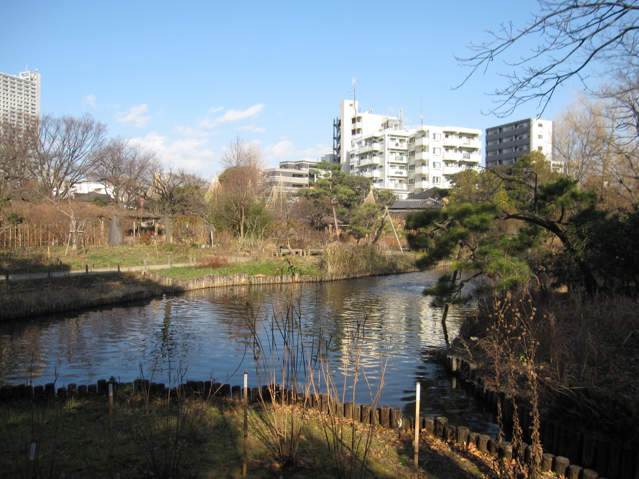 16年1月 東京スカイツリーと向島百花園 都立文化財９庭園 を散策 浅草 東京 の旅行記 ブログ By Vekiさん フォートラベル