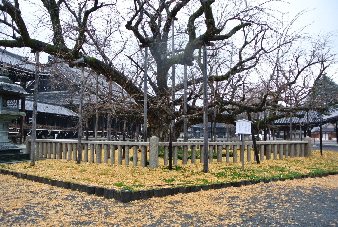 １２月の京都 西本願寺と清水寺へ 京都駅周辺 京都 の旅行記 ブログ By Hokkaさん フォートラベル