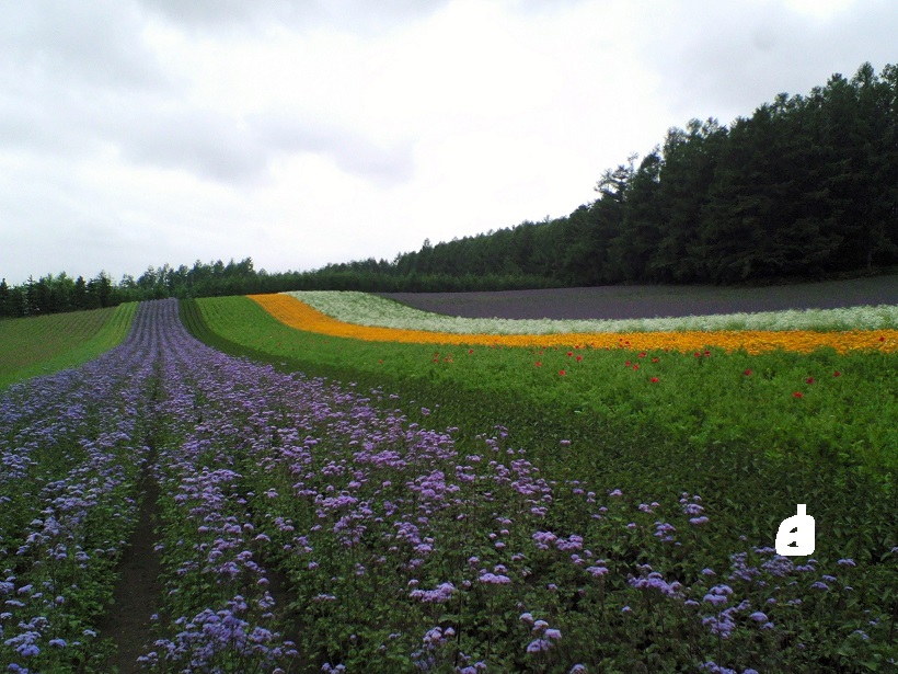 0707北海道旅行 第4回 北海道の旅行記 ブログ By Amstrobryさん フォートラベル 0707北海道旅行 第4回 北海道の旅行記 ブログ By Amstrobryさん フォートラベル
