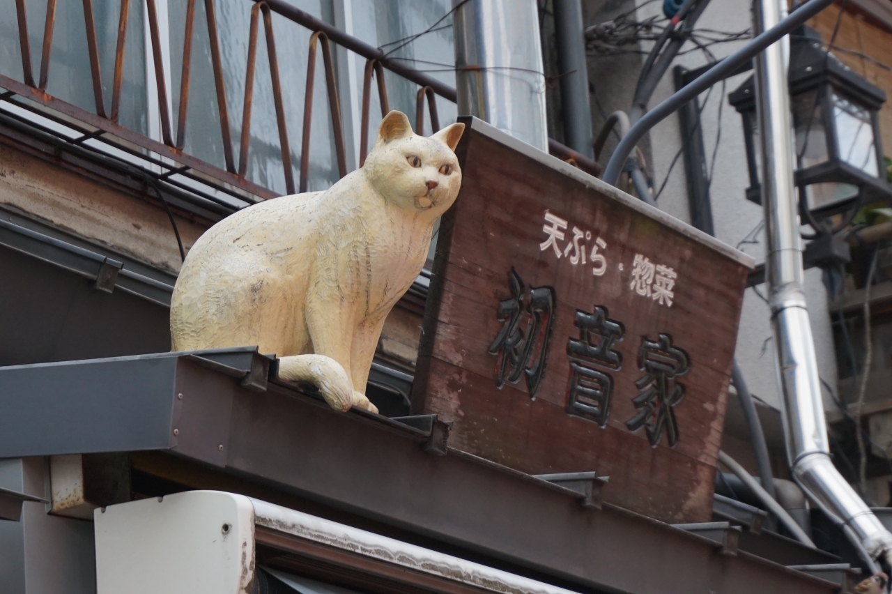 格安クラシックコンサートのあとは 根津神社 谷中銀座ぶらりお散歩 猫ちゃんには出会えなかったけどね 谷根千 東京 の旅行記 ブログ By ミッキーマーチさん フォートラベル 格安クラシックコンサートのあとは 根津神社 谷中銀座ぶらりお散歩 猫ちゃんには出会えなかったけどね 谷根千 東京 の旅行記 ブログ By ミッキーマーチさん フォートラベル