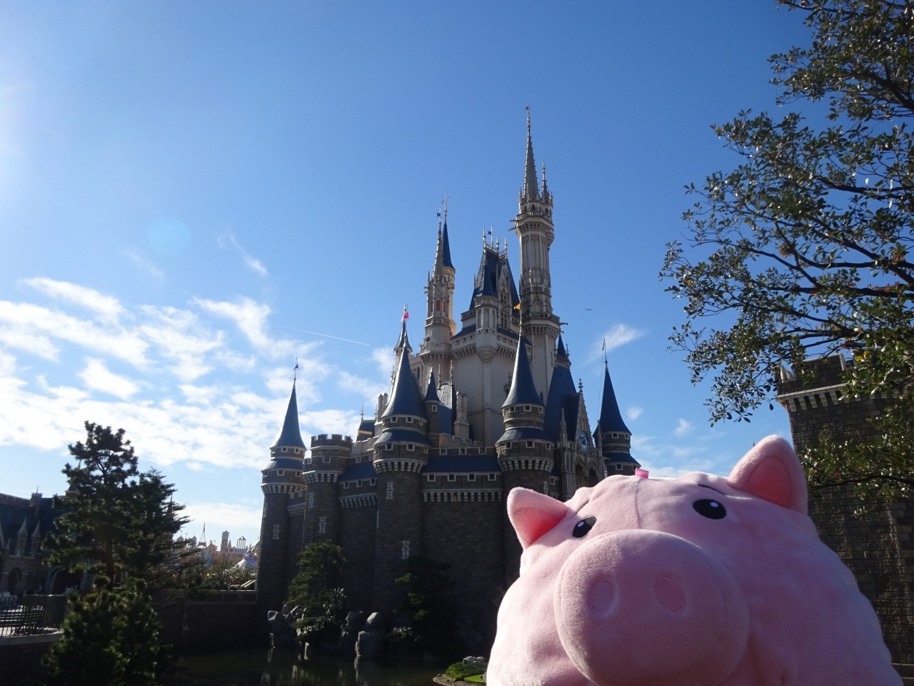 Jalマイルで格安旅行 親子3人東京ふらふら散歩 Tdrでアナ雪を楽しむ 3日目tdl 東京ディズニーリゾート 千葉県 の旅行記 ブログ By 瑠璃音さん フォートラベル