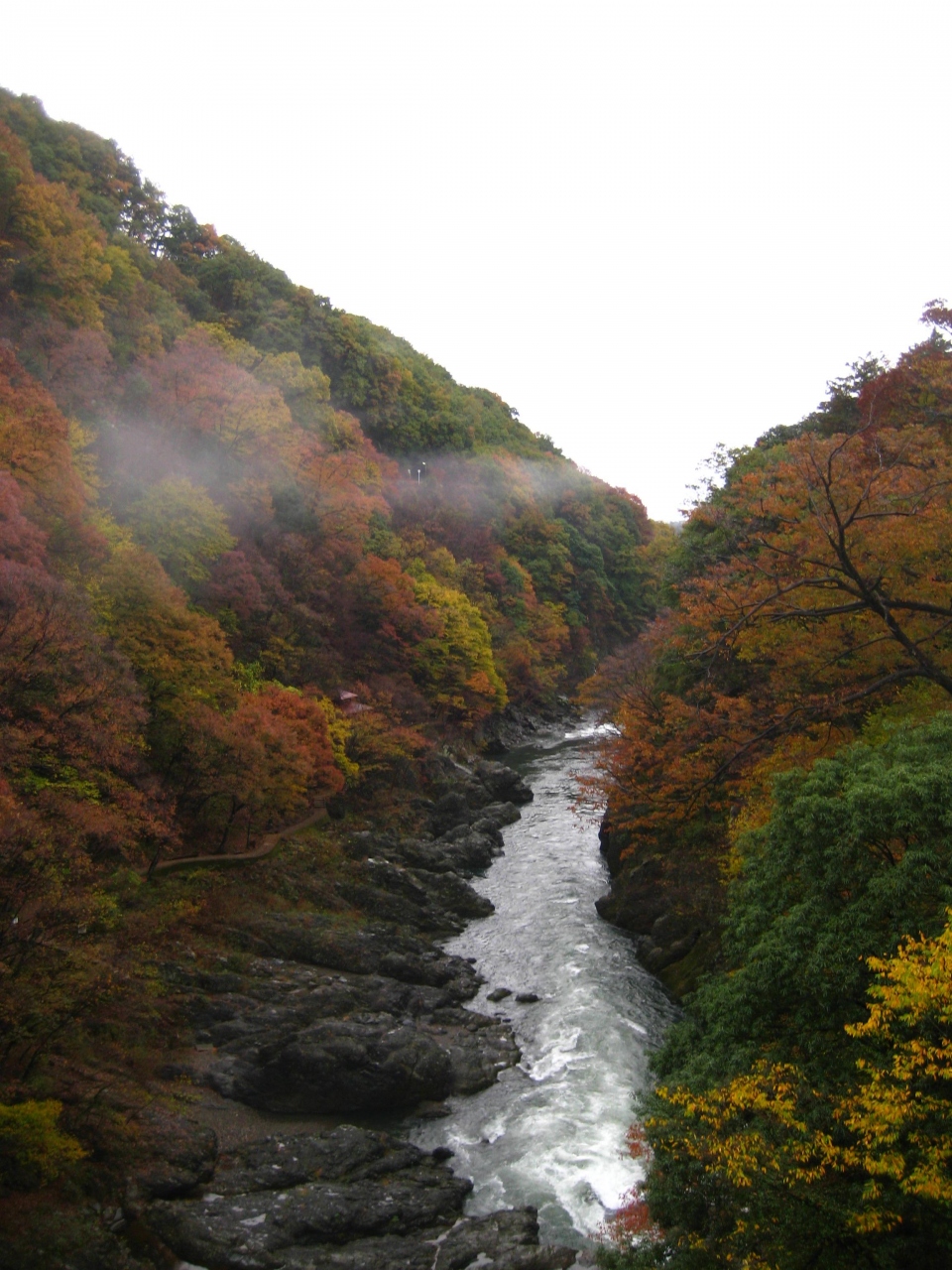 群馬日帰り電車の旅 群馬県の旅行記 ブログ By うさちゃんちゃんさん フォートラベル 群馬日帰り電車の旅 群馬県の旅行記 ブログ By うさちゃんちゃんさん フォートラベル