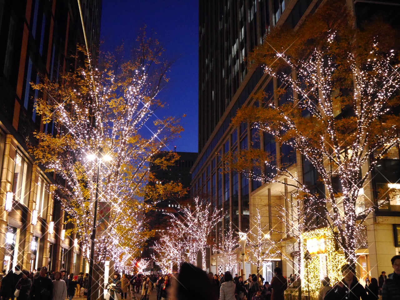 15年12月 クリスマスイルミネーション 丸の内 大手町 八重洲 東京 の旅行記 ブログ By Ryo8さん フォートラベル