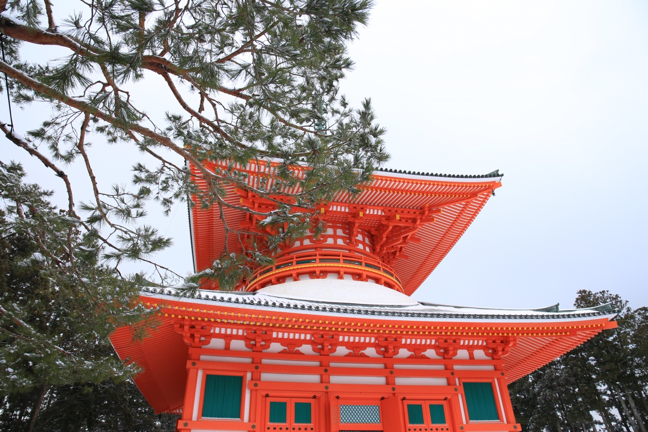 旅するイルカ 雪の高野山 雪の龍神スカイライン スノードライヴへ Part 2 高野山周辺 和歌山県 の旅行記 ブログ By イルカさん フォートラベル 旅するイルカ 雪の高野山 雪の龍神スカイライン スノードライヴへ Part 2 高野山周辺 和歌山県 の旅行記 ブログ By イルカさん フォートラベル