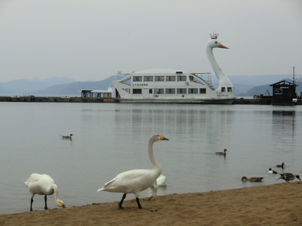 福島 春と冬の間の猪苗代湖サイクリング 猪苗代 福島県 の旅行記 ブログ By まごさん フォートラベル