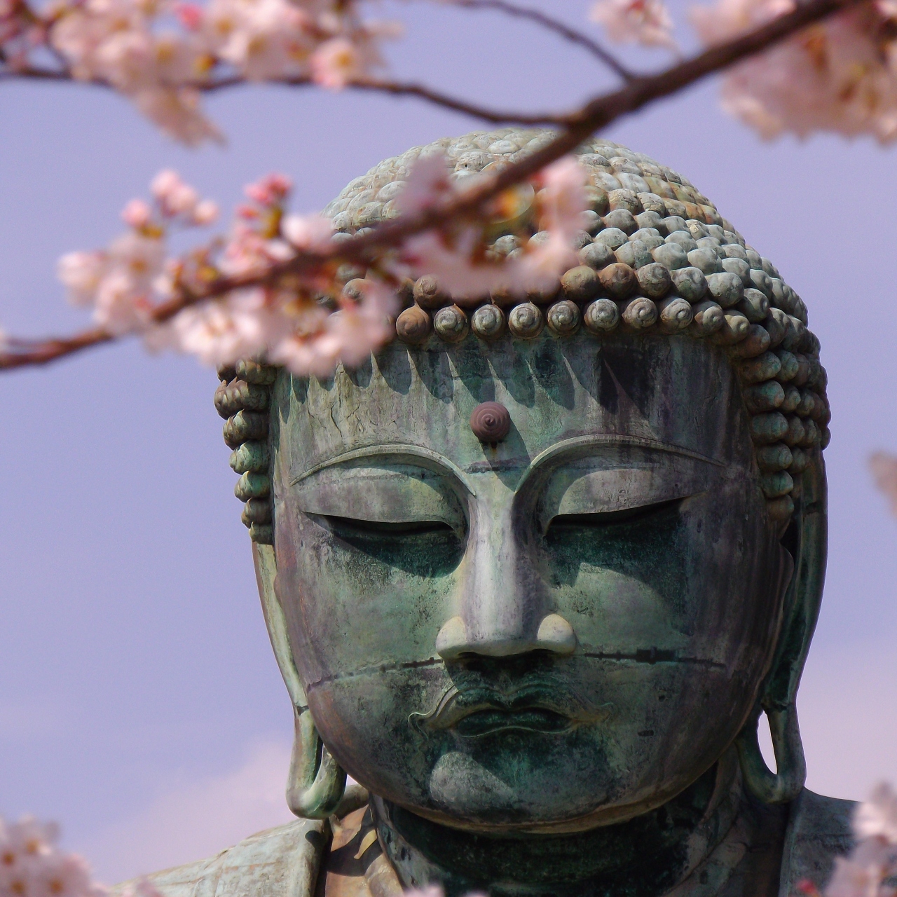 Kamakura Daibutsu Portrait 鎌倉 神奈川県 の旅行記 ブログ By ムヒカさん フォートラベル Kamakura Daibutsu Portrait 鎌倉 神奈川県 の旅行記 ブログ By ムヒカさん フォートラベル
