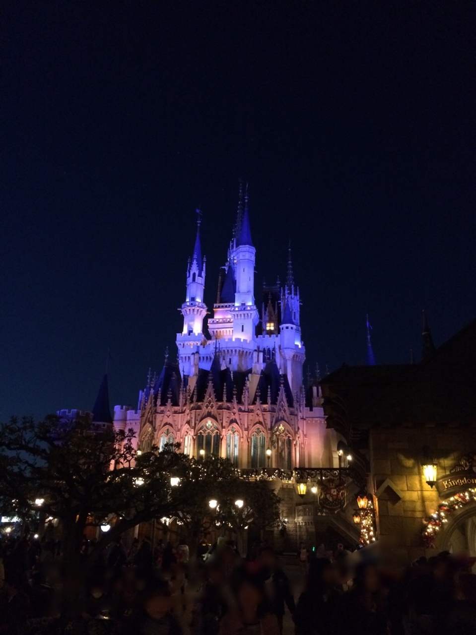 ディズニーの旅 2日目はディズニーランドで大はしゃぎ 東京ディズニーリゾート 千葉県 の旅行記 ブログ By Kawataroさん フォートラベル