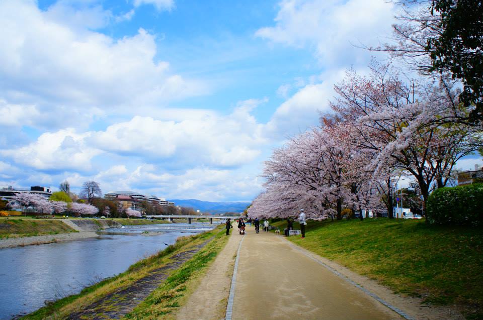 春の京都のんびり旅 京都の旅行記 ブログ By そまなさん フォートラベル 春の京都のんびり旅 京都の旅行記 ブログ By そまなさん フォートラベル