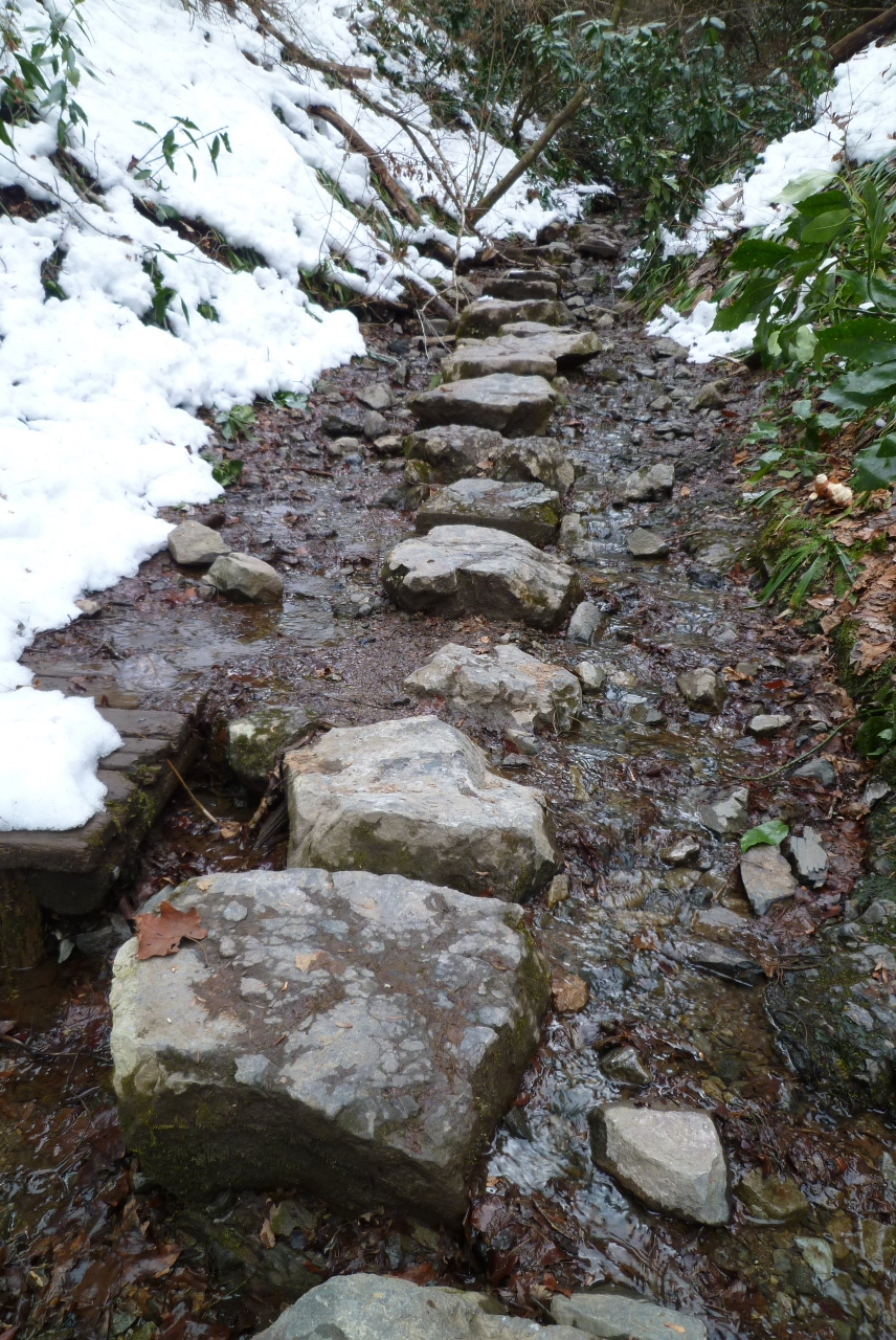 高尾山健康登山 6 6号路 琵琶滝 ー高尾山ー金毘羅台ー 金毘羅台歩道 高尾駅 高尾 八王子 東京 の旅行記 ブログ By Takeおじさん フォートラベル 高尾山健康登山 6 6号路 琵琶滝 ー高尾山ー金毘羅台ー 金毘羅台歩道 高尾駅 高尾 八王子 東京 の旅行記 ブログ By Takeおじさん フォートラベル