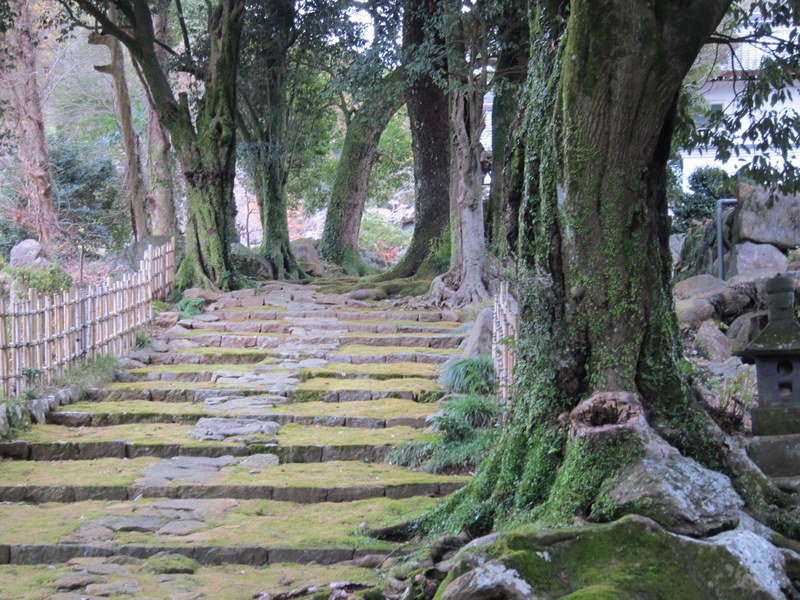 函南駅周辺散策 熱海 静岡県 の旅行記 ブログ By つきじさん フォートラベル