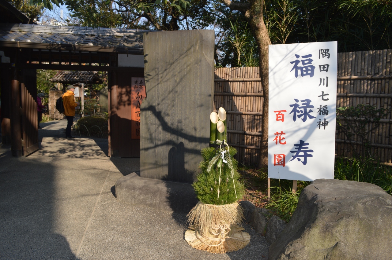 福寿草に立春を見る 向島百花園の巻 錦糸町 東京 の旅行記 ブログ By 一歩人さん フォートラベル