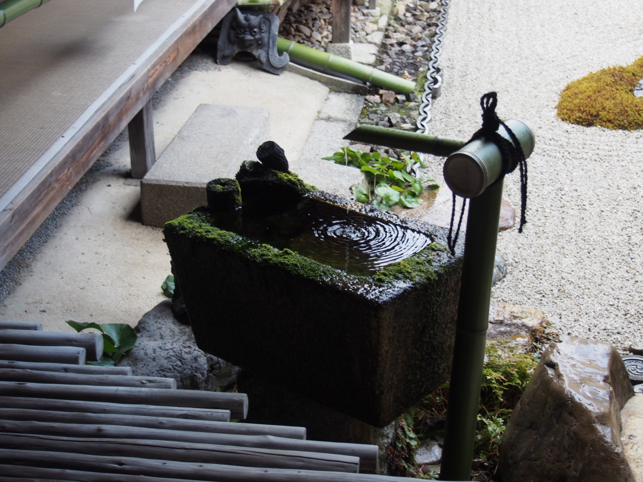 京の冬の旅 相国寺 今出川 北大路 北野 京都 の旅行記 ブログ By のーとくんさん フォートラベル