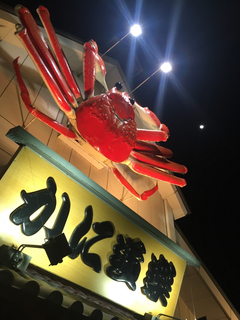 かに道楽に行ってきました 大阪の旅行記 ブログ By Borithorさん フォートラベル