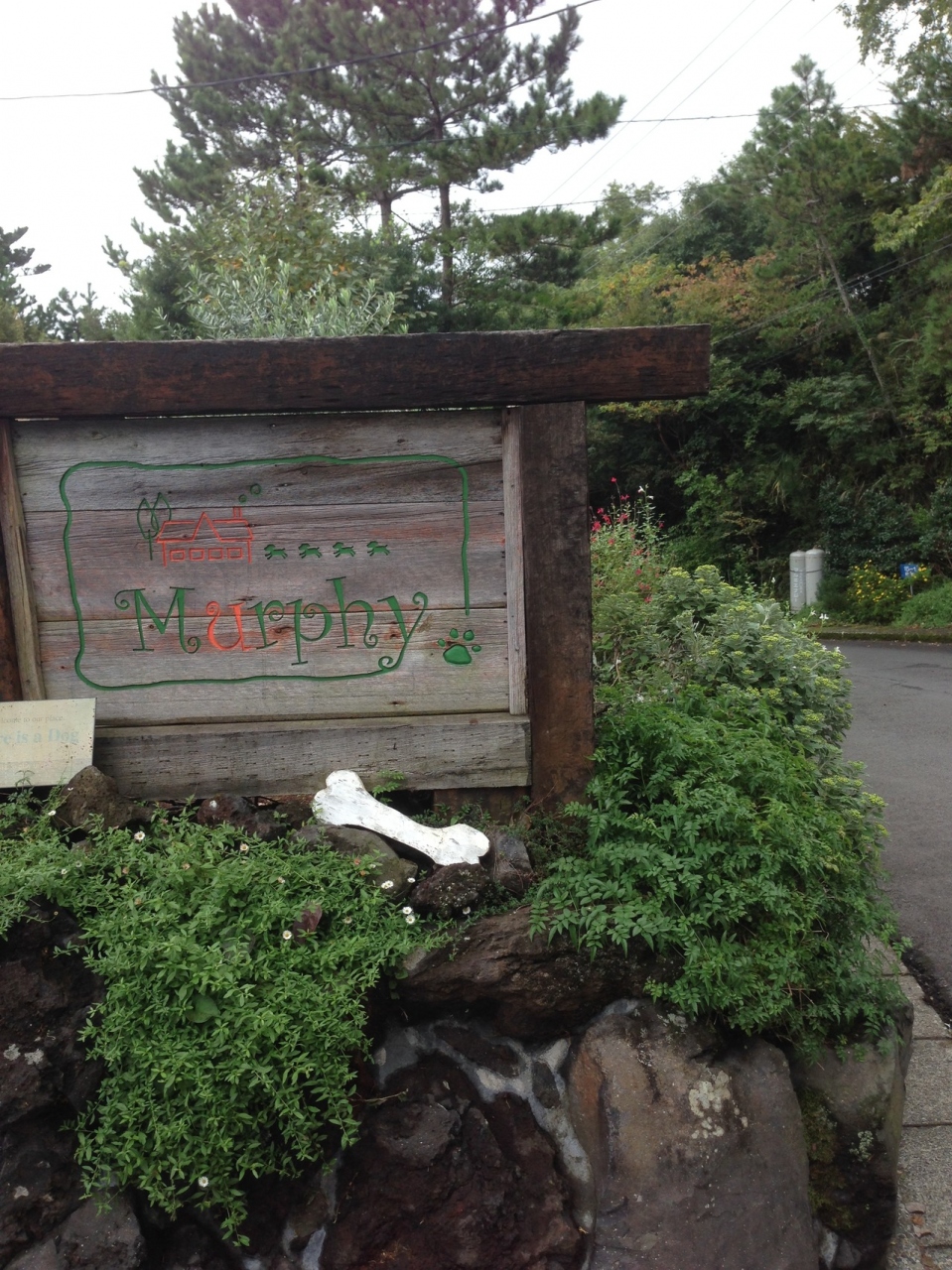 15わんこの旅 伊豆高原 ペンションマーフィ 伊豆高原 静岡県 の旅行記 ブログ By 柚子鈴さん フォートラベル