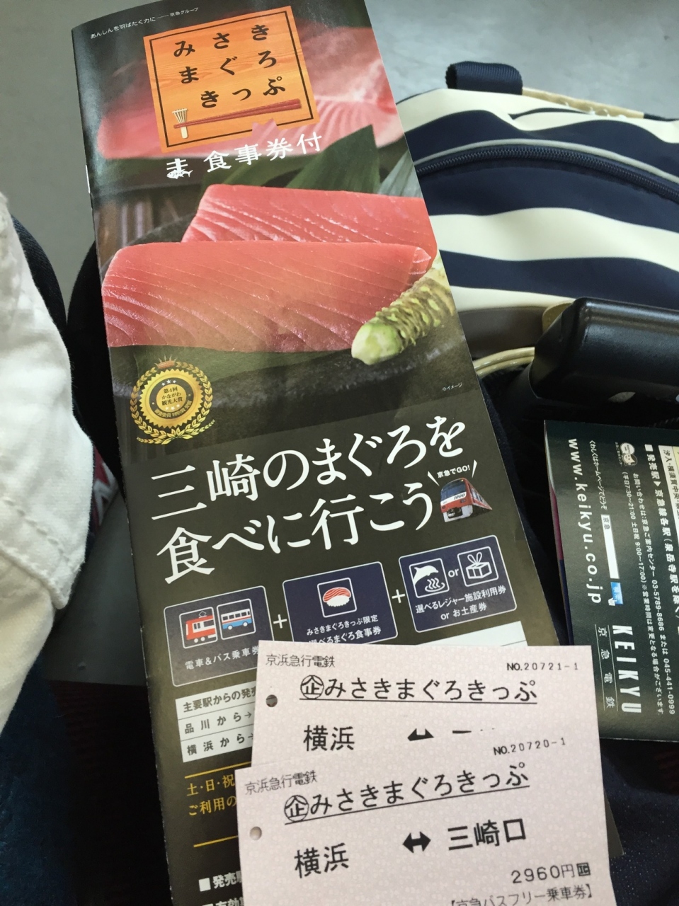 三崎マグロ切符 三浦海岸 三崎 神奈川県 の旅行記 ブログ By ケロコさん フォートラベル
