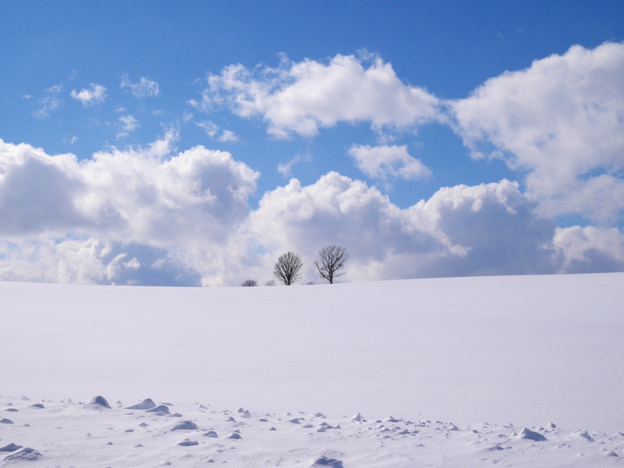 冬の美瑛を駆け巡る 美瑛 びえい 北海道 の旅行記 ブログ By Solty75さん フォートラベル
