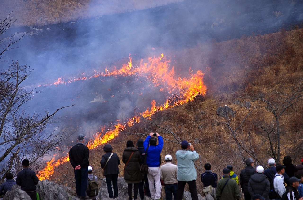 4度目の正直か 秋吉台の春の風物詩山焼きを見に行きました 秋吉台 山口県 の旅行記 ブログ By 風待人さん フォートラベル