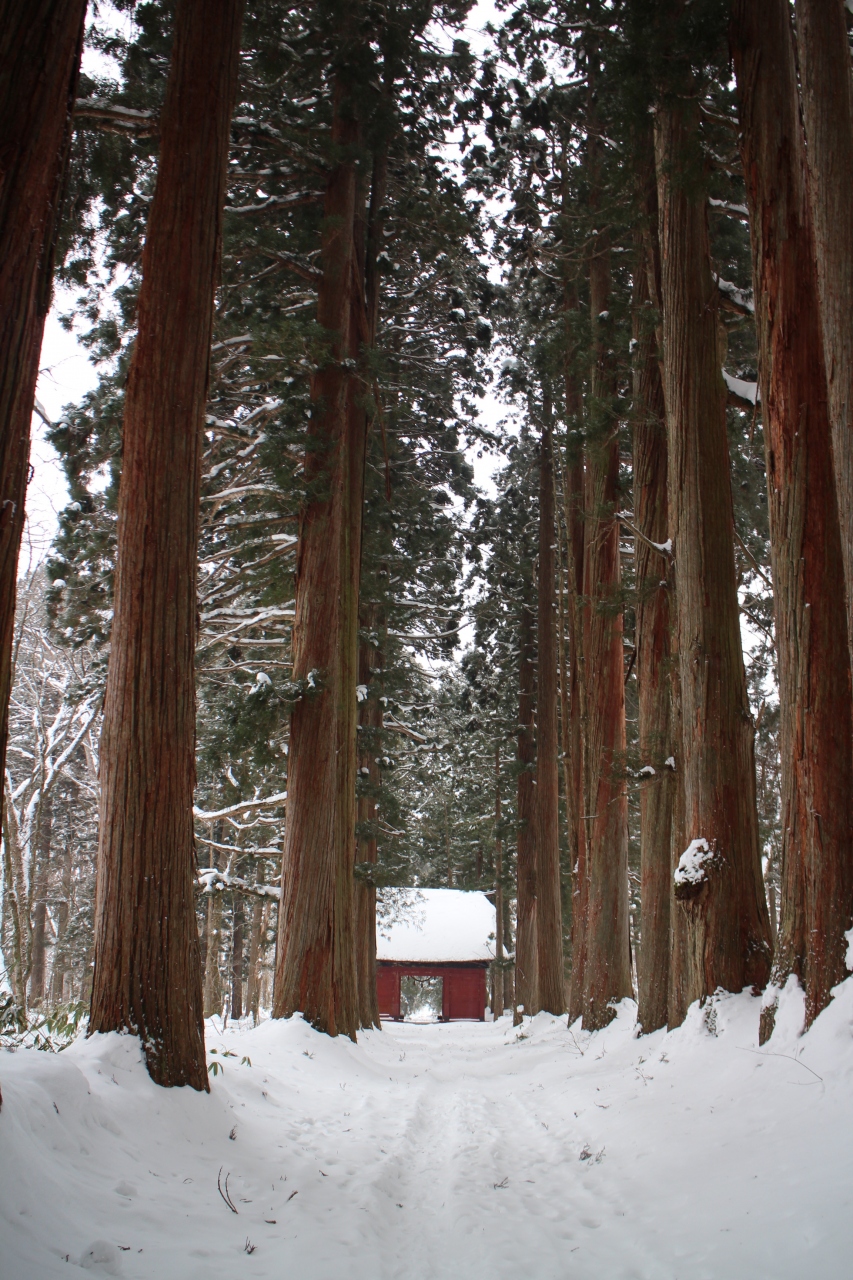 冬の戸隠は雪中行軍 戸隠 鬼無里 長野県 の旅行記 ブログ By Haneさん フォートラベル 冬の戸隠は雪中行軍 戸隠 鬼無里 長野県 の旅行記 ブログ By Haneさん フォートラベル