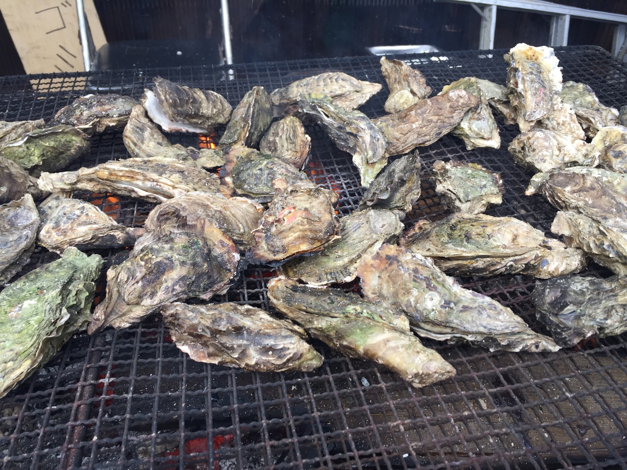 鈴鹿サーキット乗り放題と浦村牡蠣食べ放題の旅 鳥羽 三重県 の旅行記 ブログ By はちさん フォートラベル 鈴鹿サーキット乗り放題と浦村牡蠣食べ放題の旅 鳥羽 三重県 の旅行記 ブログ By はちさん フォートラベル