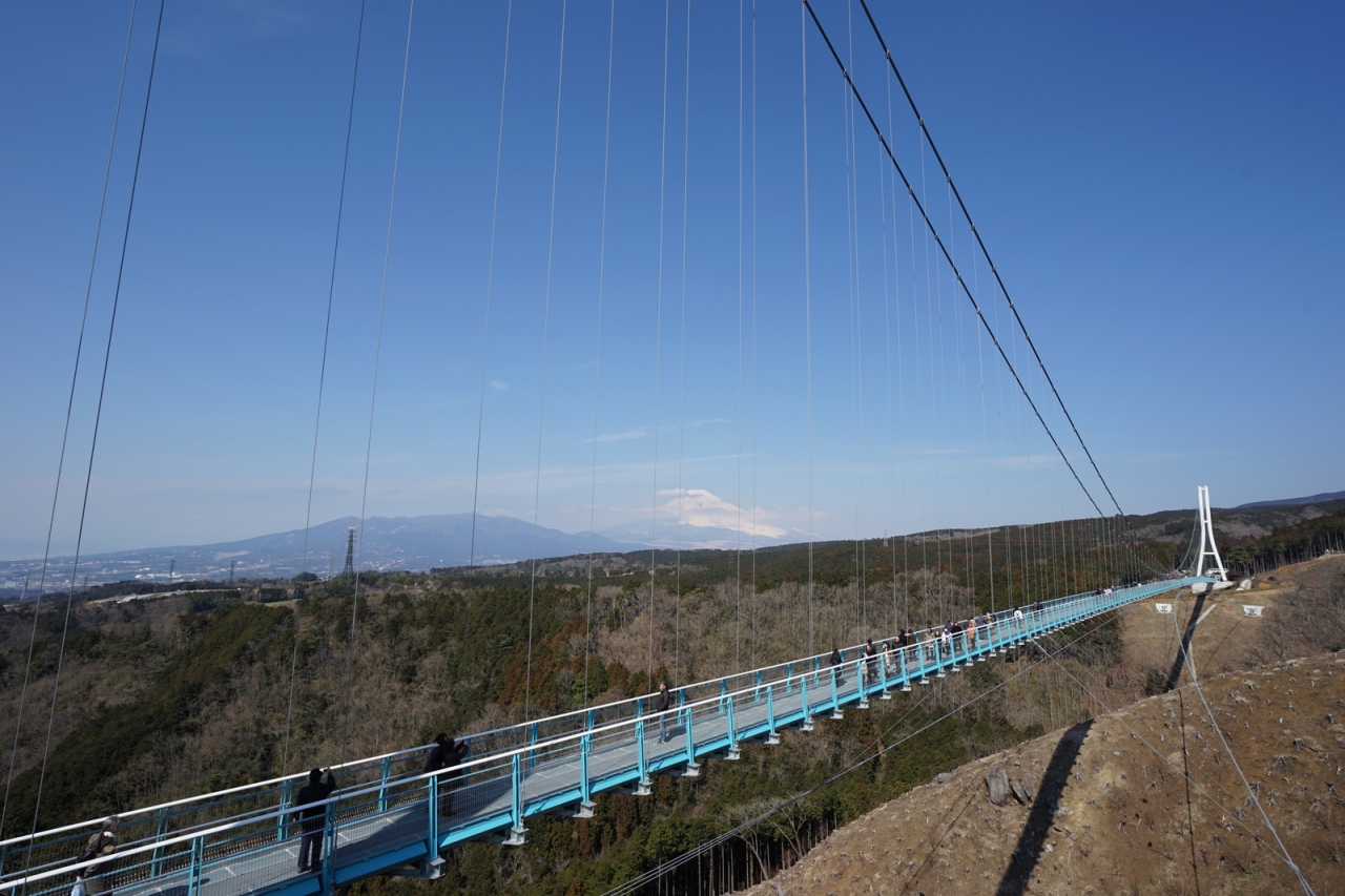 三島スカイウォークと伊豆修善寺 三島 静岡県 の旅行記 ブログ By ひらりんさん フォートラベル