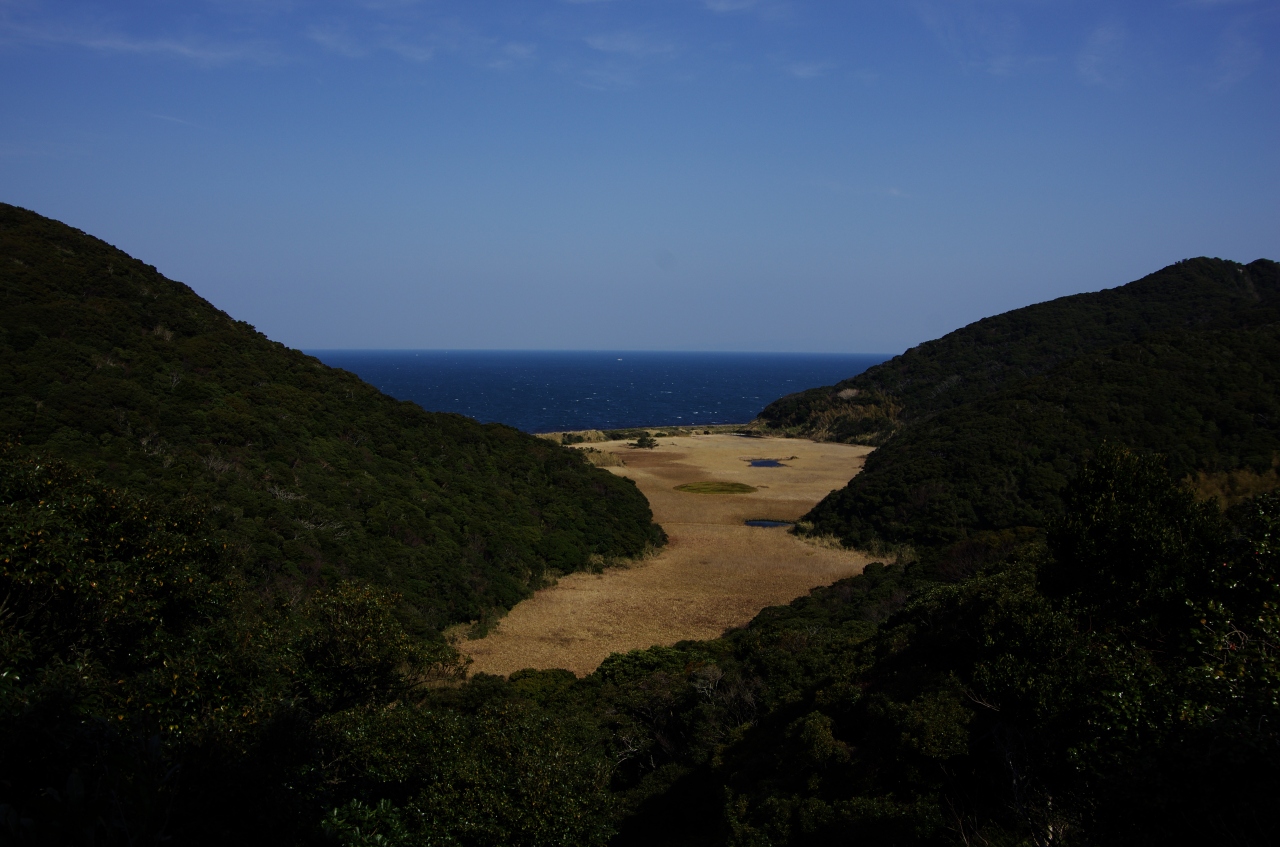 島旅 伊島編 湿地帯と観音堂を目指し歩く 阿南 日和佐 海陽 那賀 徳島県 の旅行記 ブログ By つきこさん フォートラベル