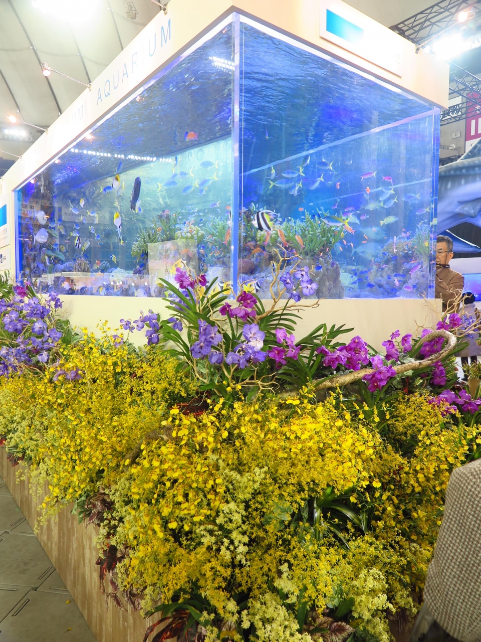 世界らん展12 沖縄美ら海水族館 熱帯魚が来援 混雑会場のオアシス空間 水道橋 東京 の旅行記 ブログ By マキタン２さん フォートラベル