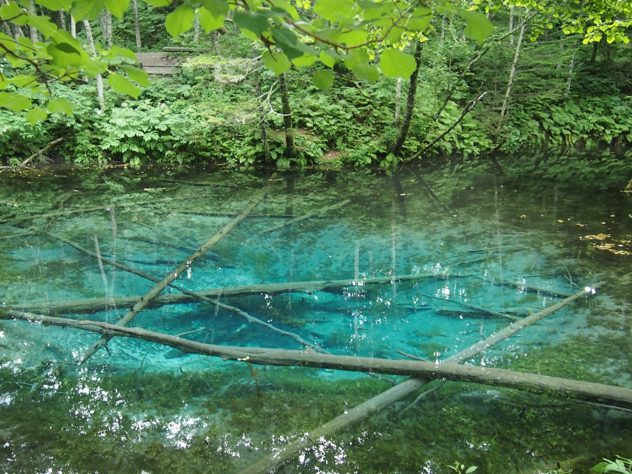 夏休み 野付 神の子池 道東フォトスポットめぐり 標津 北海道 の旅行記 ブログ By るいるいさん フォートラベル 夏休み 野付 神の子池 道東フォトスポットめぐり 標津 北海道 の旅行記 ブログ By るいるいさん フォートラベル