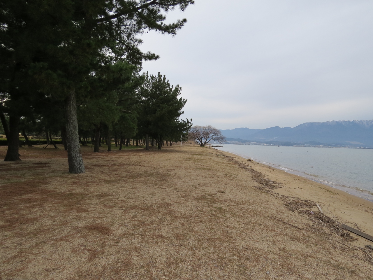 東近江 湖岸道路 琵琶湖大橋をサイクリングする 近江八幡 安土 滋賀県 の旅行記 ブログ By 十三の白髭さん フォートラベル