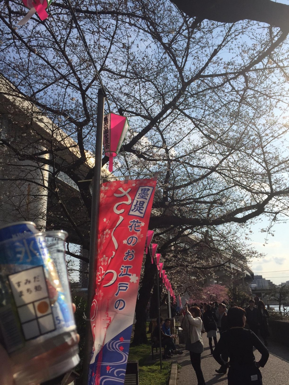 16 3 27 隅田公園 2分咲きお花見 東京の旅行記 ブログ By ふきのとうさん フォートラベル 16 3 27 隅田公園 2分咲きお花見 東京の旅行記 ブログ By ふきのとうさん フォートラベル