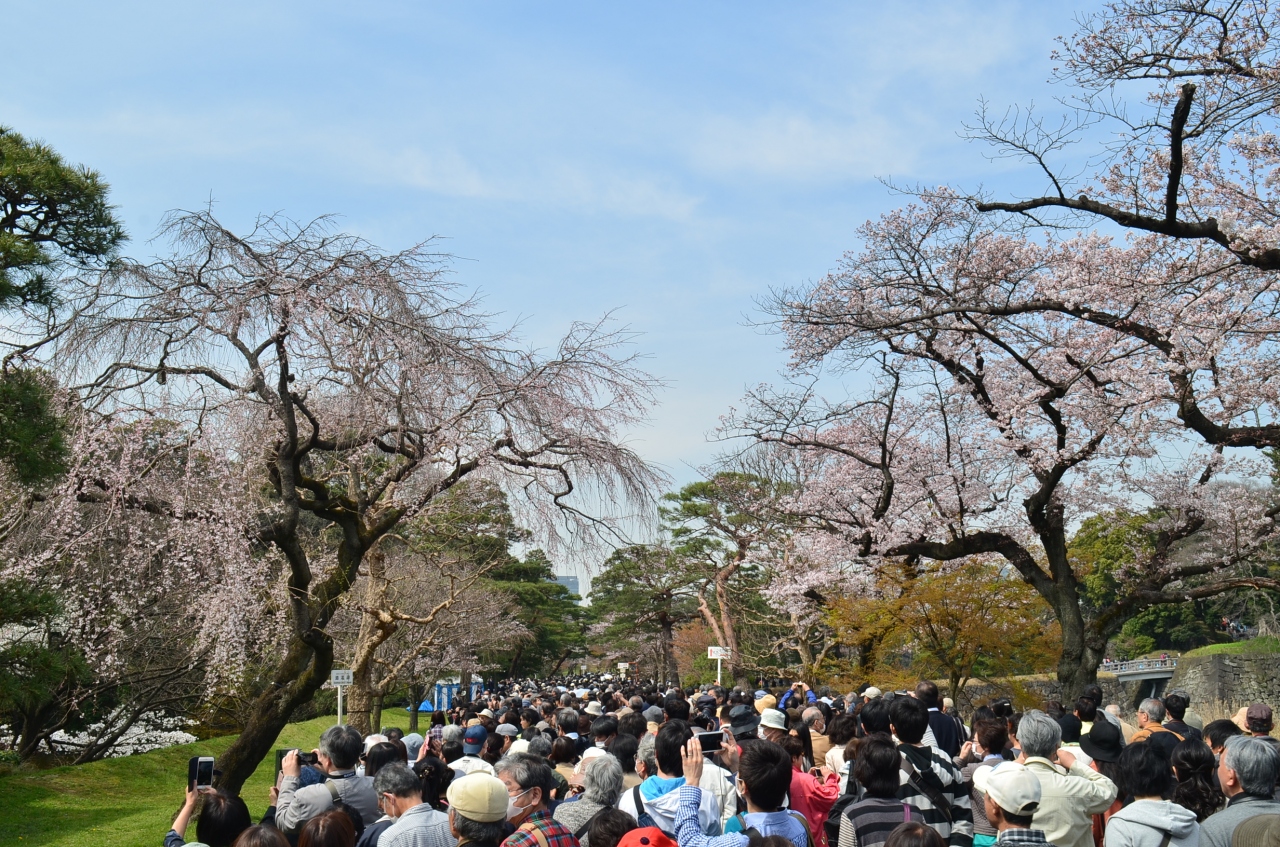 皇居乾通り一般公開 桜は 丸の内 大手町 八重洲 東京 の旅行記 ブログ By Takeおじさん フォートラベル