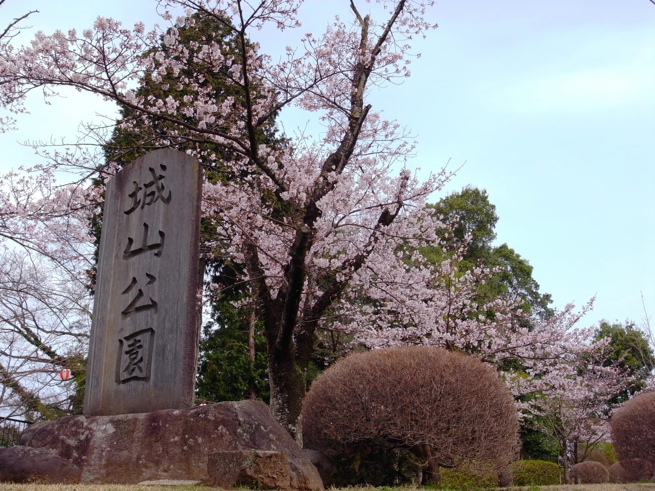 両毛線の旅 栃木 花見編 小山駅 足利駅 小山 栃木県 の旅行記 ブログ By すあまさん フォートラベル