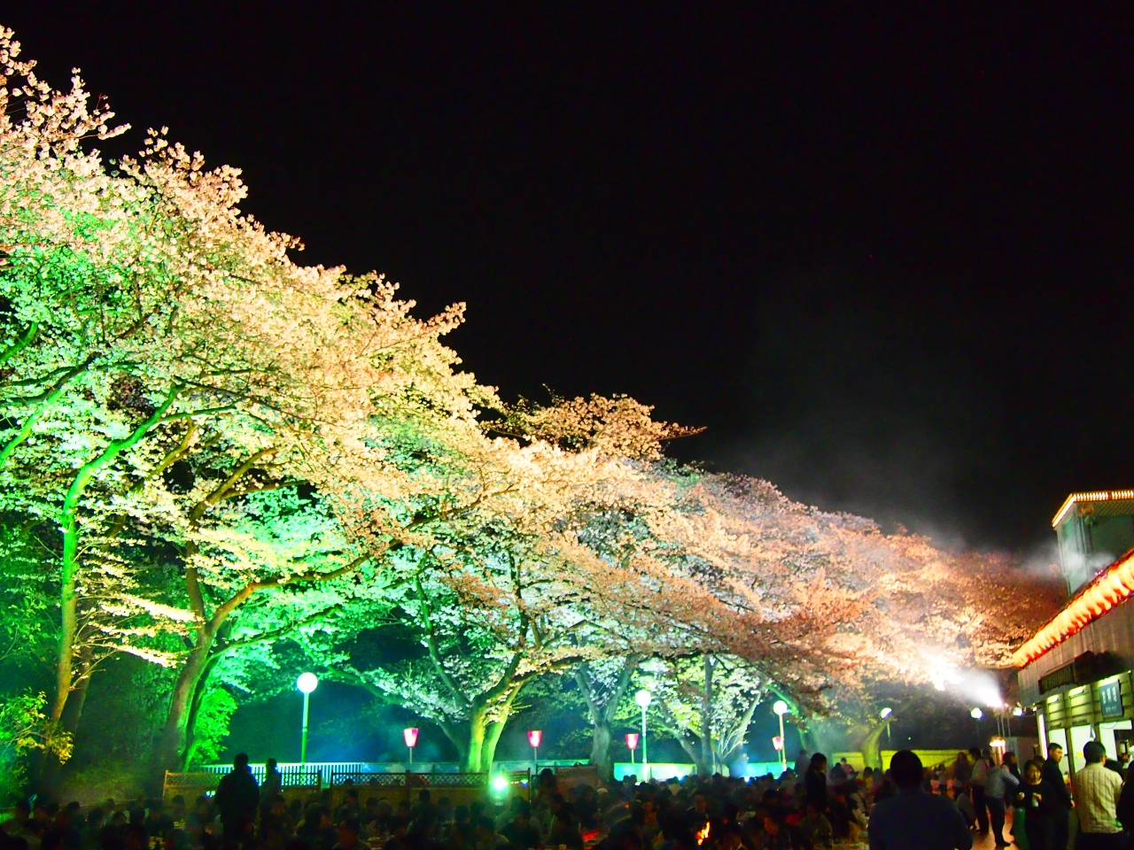 16年4月 としまえんの夜桜ウィーク サクラナイトに行ってみた 練馬 東京 の旅行記 ブログ By Takamiyo0922さん フォートラベル 16年4月 としまえんの夜桜ウィーク サクラナイトに行ってみた 練馬 東京 の旅行記 ブログ By Takamiyo0922さん フォートラベル