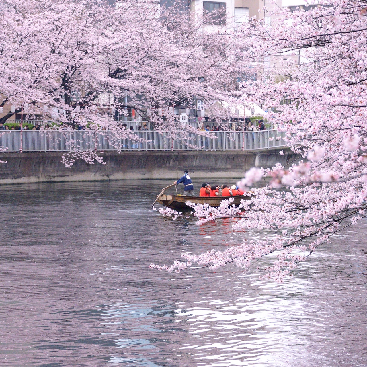 櫓で漕ぐ和船に揺られてお花見 門前仲町 東京 の旅行記 ブログ By はるさん フォートラベル