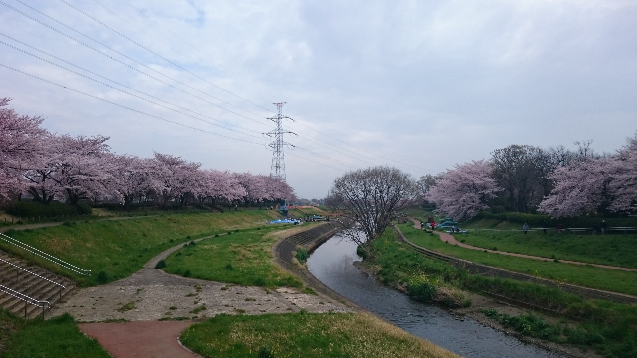 お散歩道 小畔川 春 In埼玉県 川越 川越 埼玉県 の旅行記 ブログ By Chaiさん フォートラベル