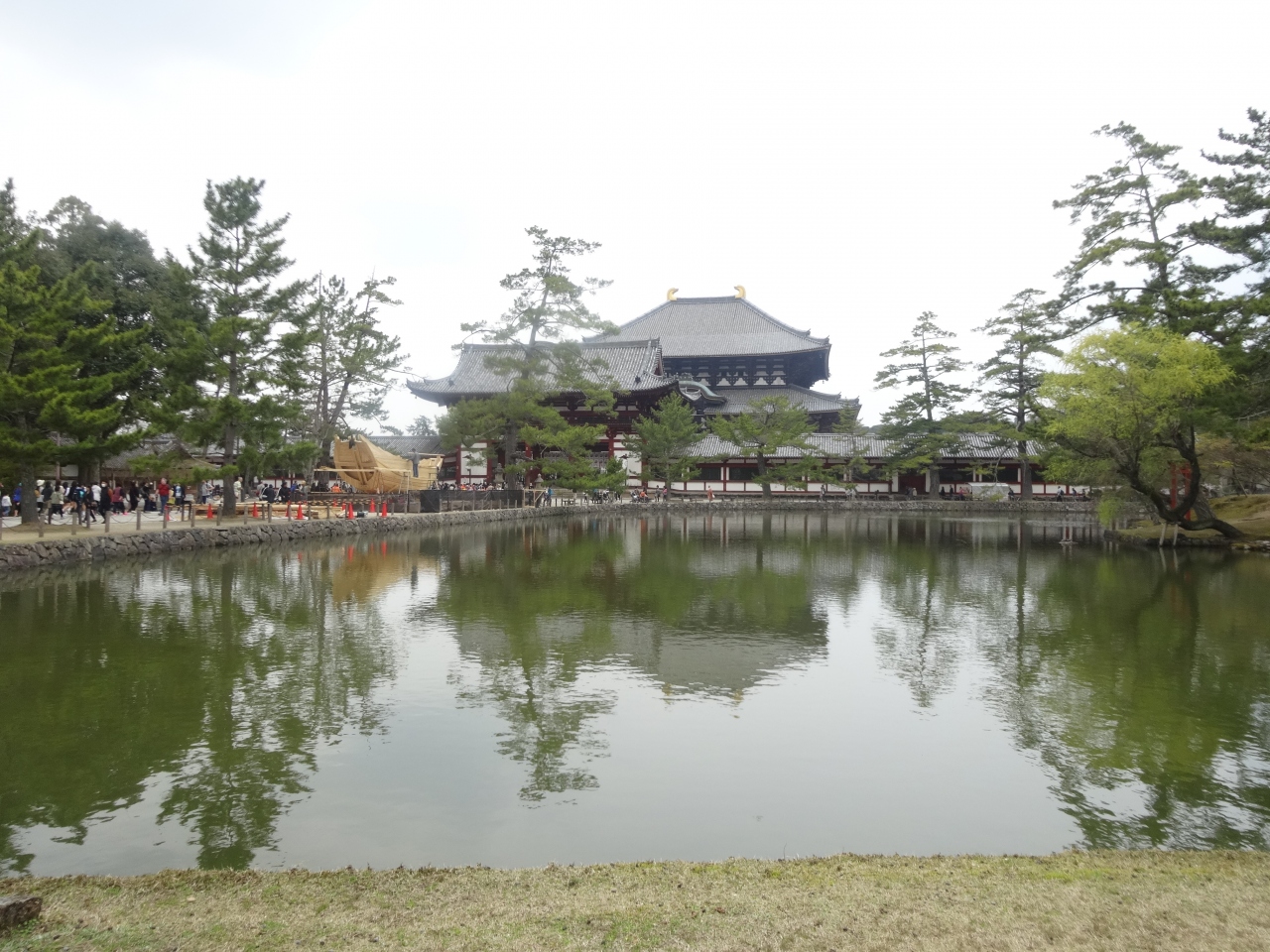 16奈良公園 奈良県の旅行記 ブログ By つきにこさん フォートラベル